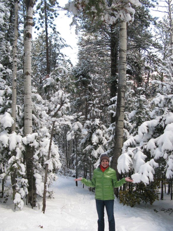 Hyde Memorial State Park 