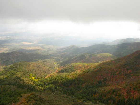 Mingus Mountain Campstite