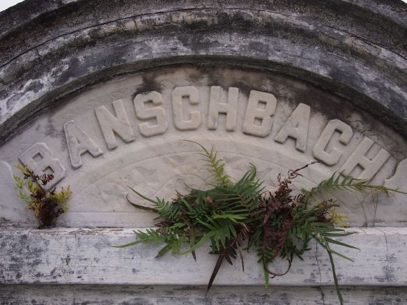 New Orleans, Cemetery 