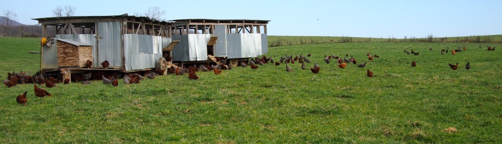 Polyface Farm, Eggmobile